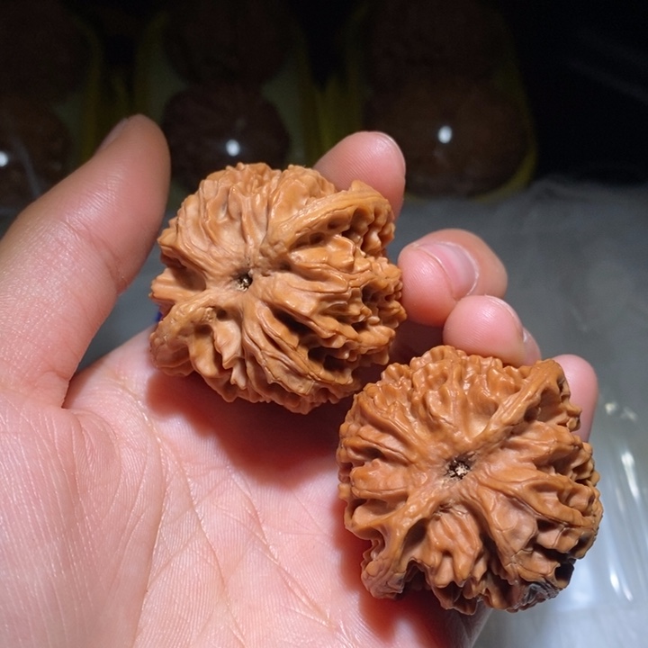 一***宁文玩核桃吊坠精品课程和专业培训教材