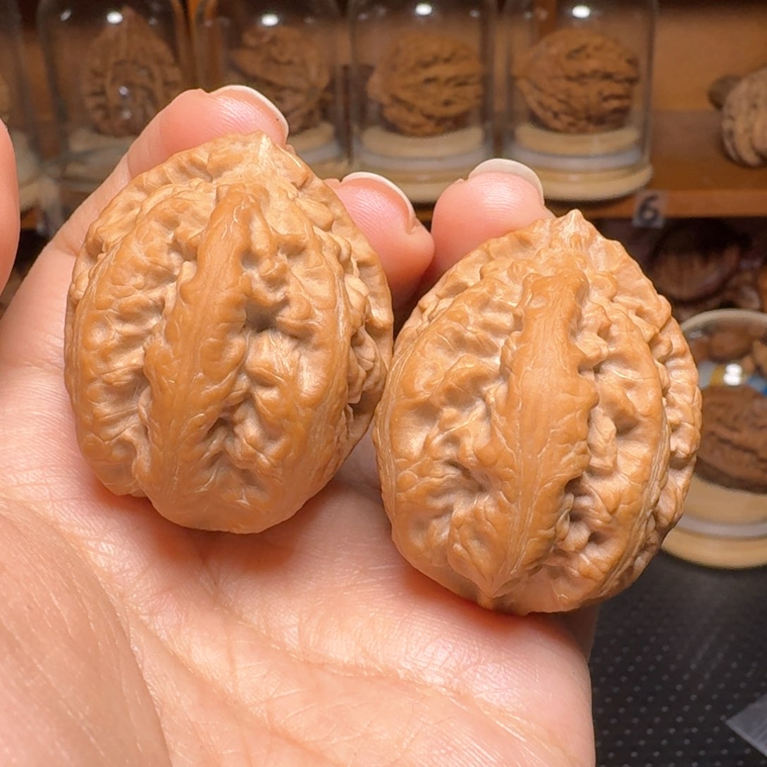 文玩核桃把件粗筋丸子