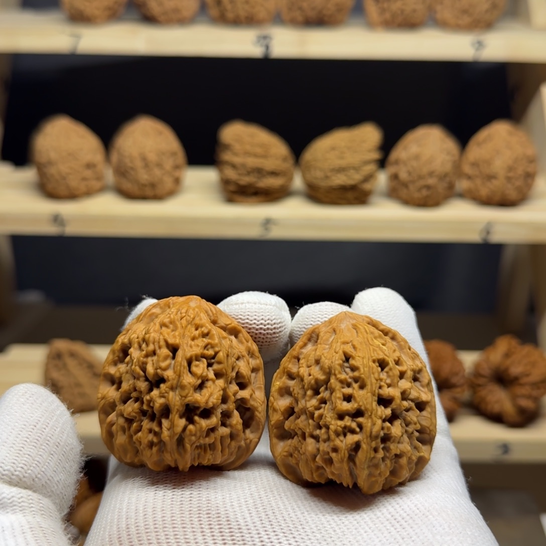 【闪购商品】小****雨40尺