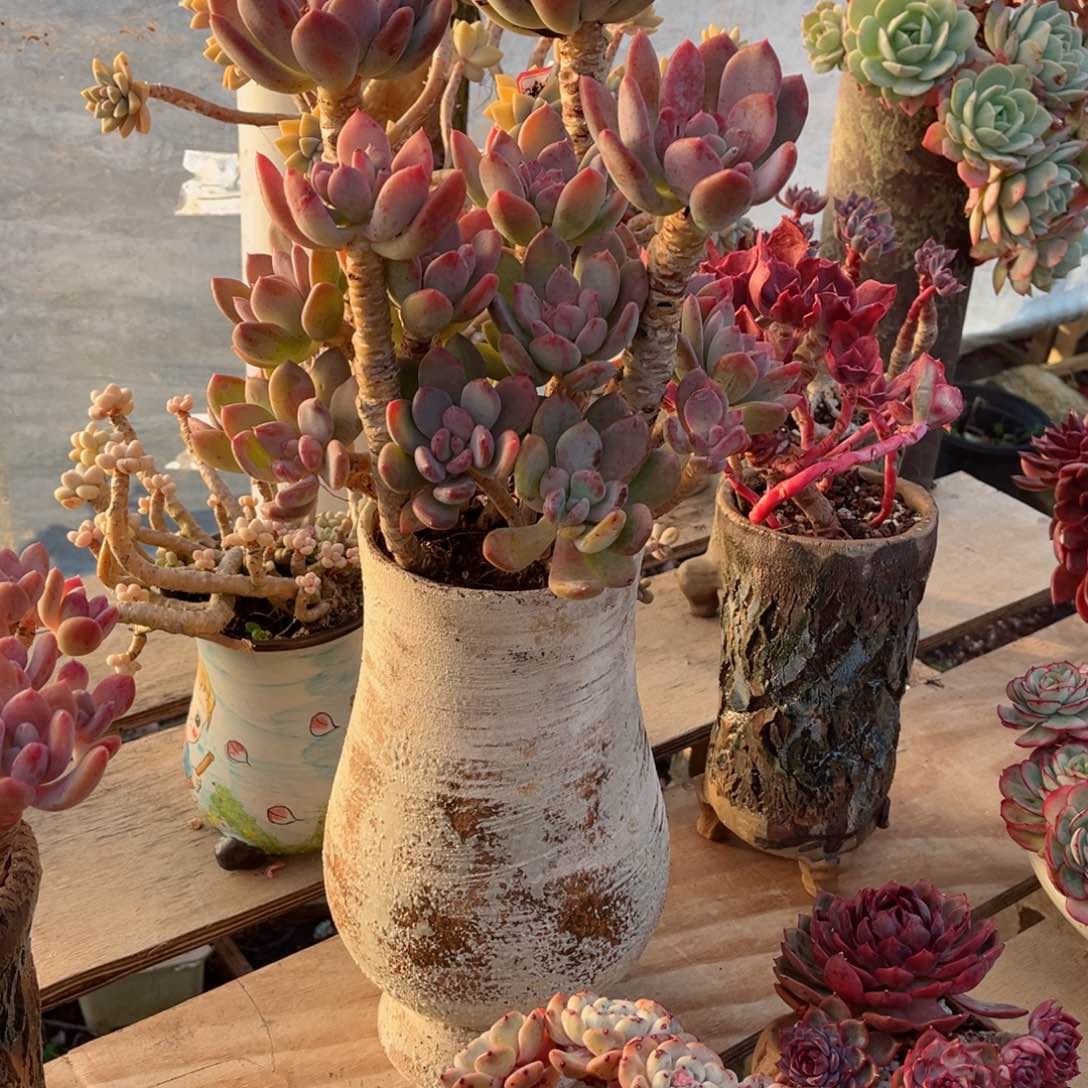 你是否还记得你曾经