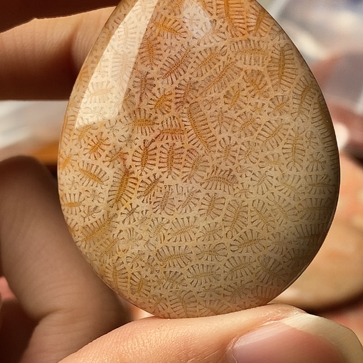 逆***薇硅化珊瑚未镶嵌颈饰