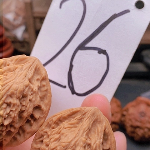 吊坠桃核34➕全品龙门柱