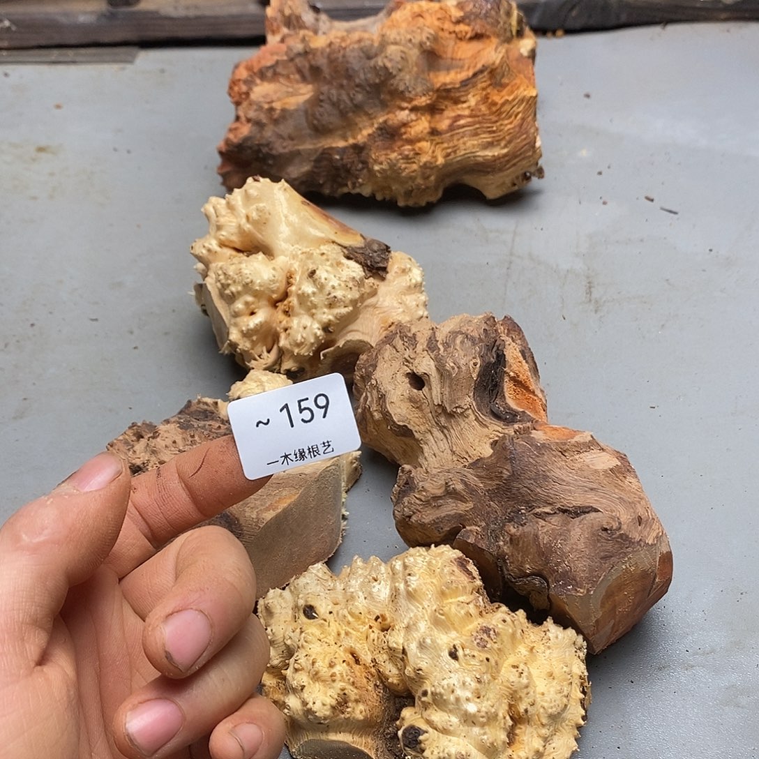 刘***钱无花朵             159