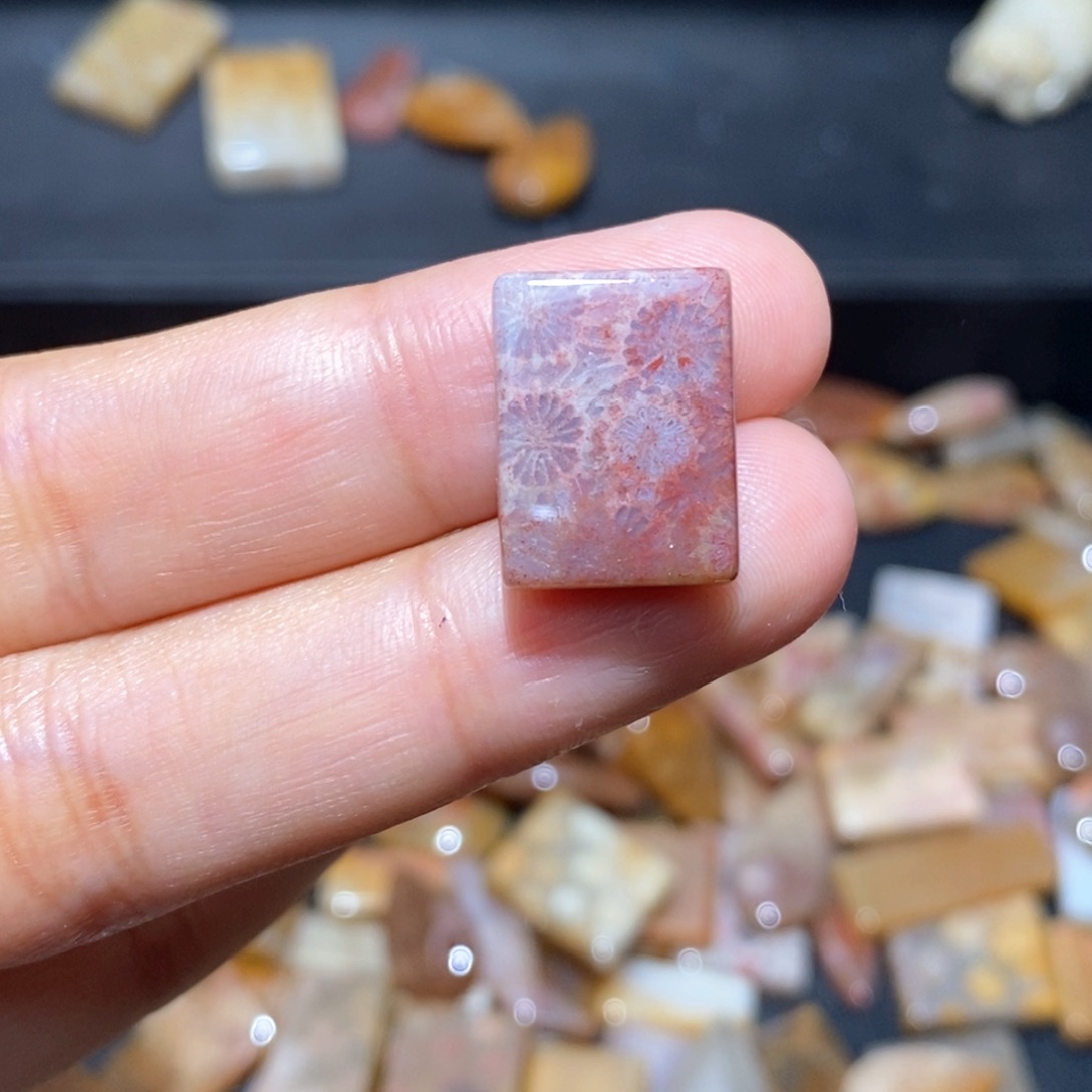 【闪购商品】硅化玉颈饰未镶嵌