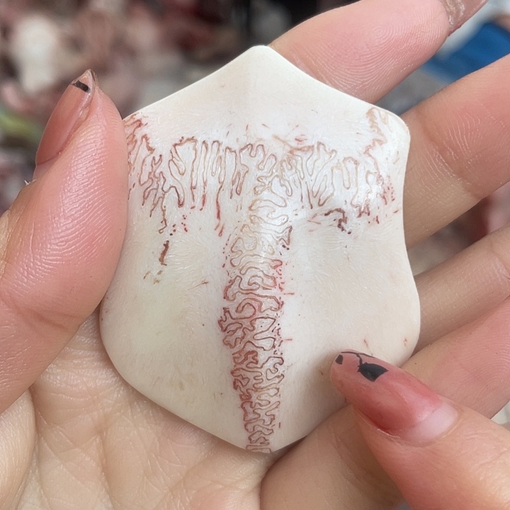 养殖鹿骨三界牌子