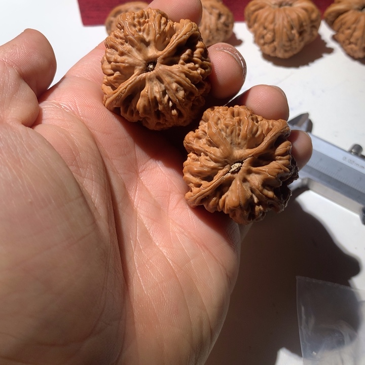 把件文玩核桃-*-粗筋