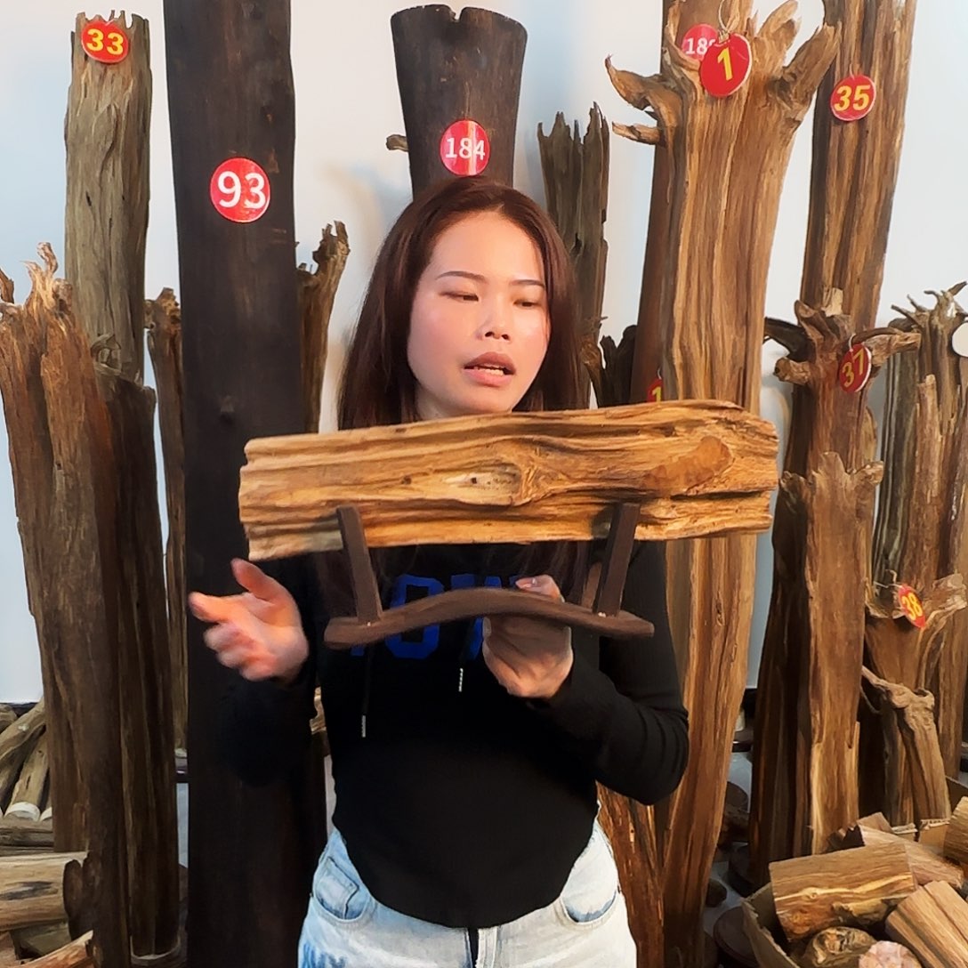 沉香摆件天然沉香原木摆件➕底座