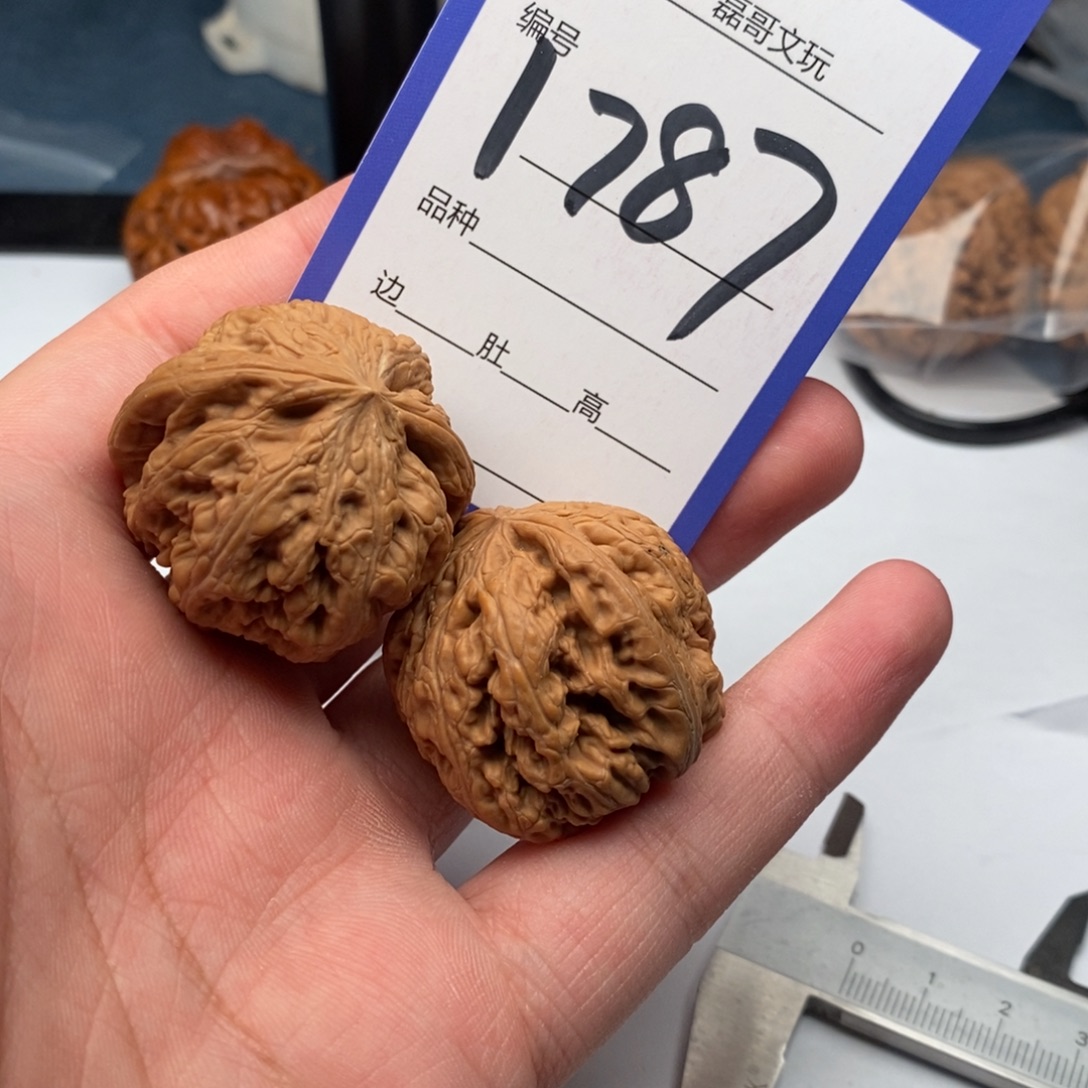 文玩核桃把件1787