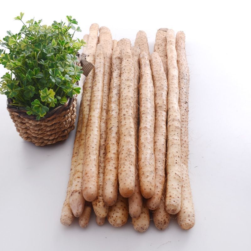 南方鲜选河北蠡县小白嘴山药直发整箱庄