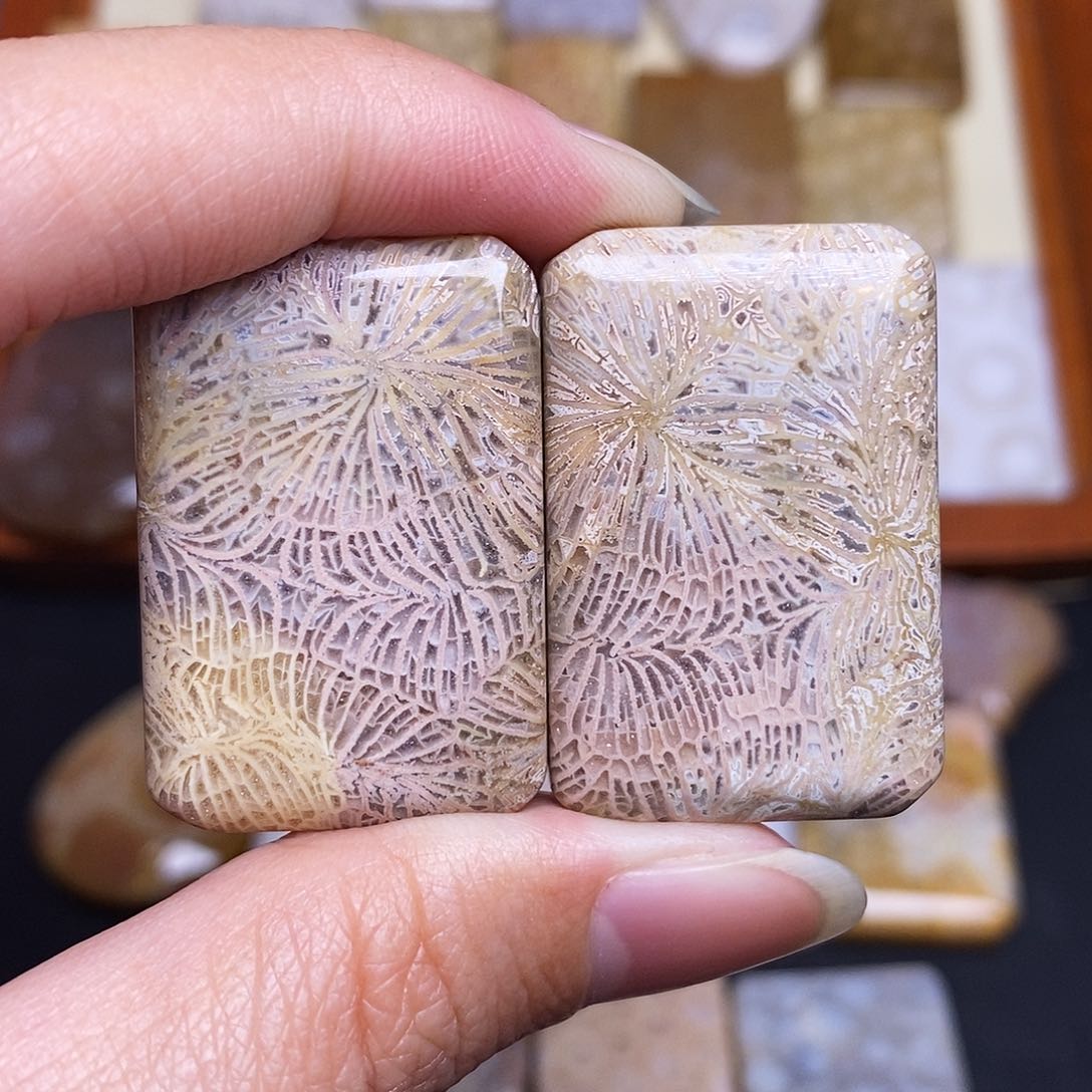 硅化玉珠宝奇石合金在****果