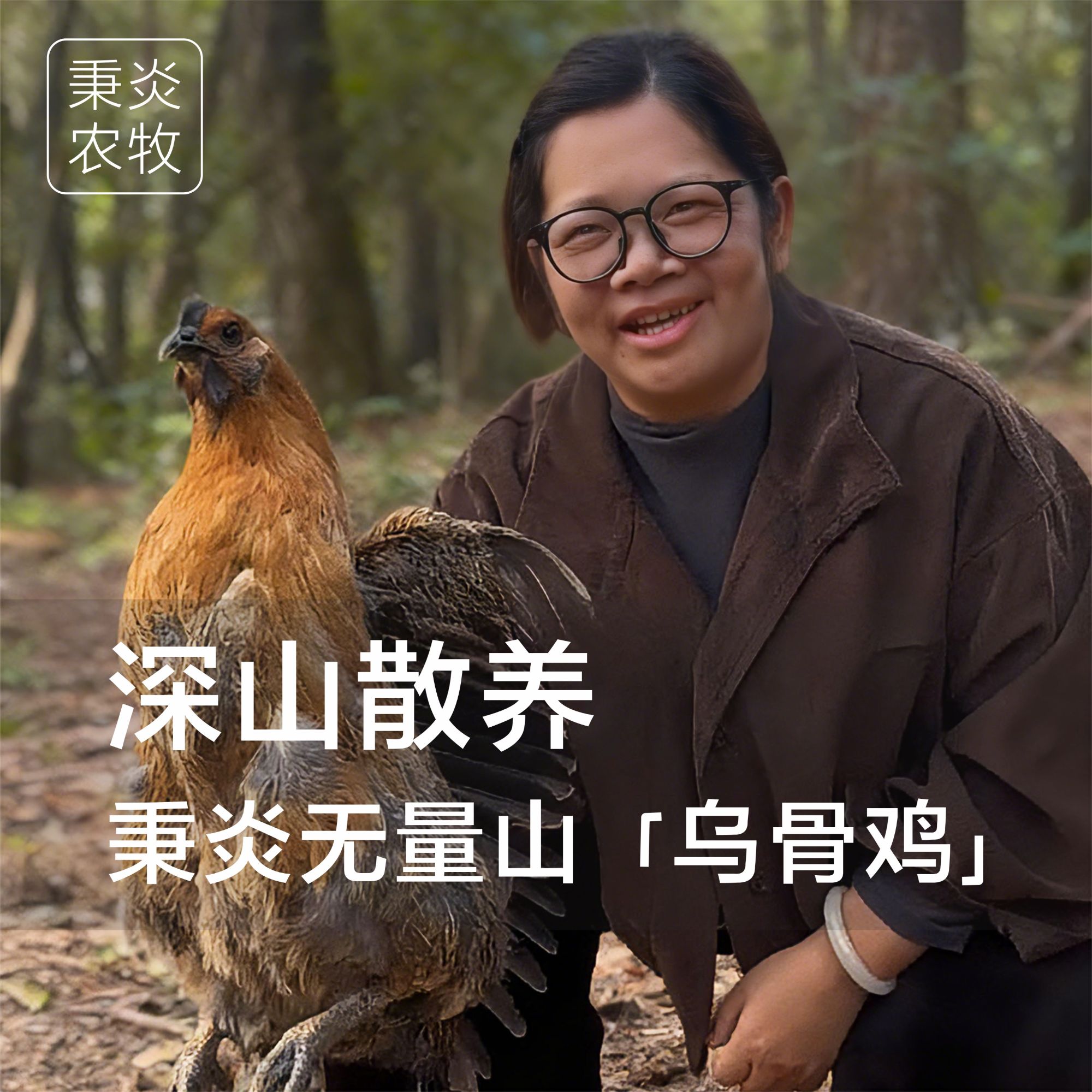 秉炎云南正宗跑山乌骨鸡生态散养生鲜鸡汤鲜味美肉质Q弹低温速冻