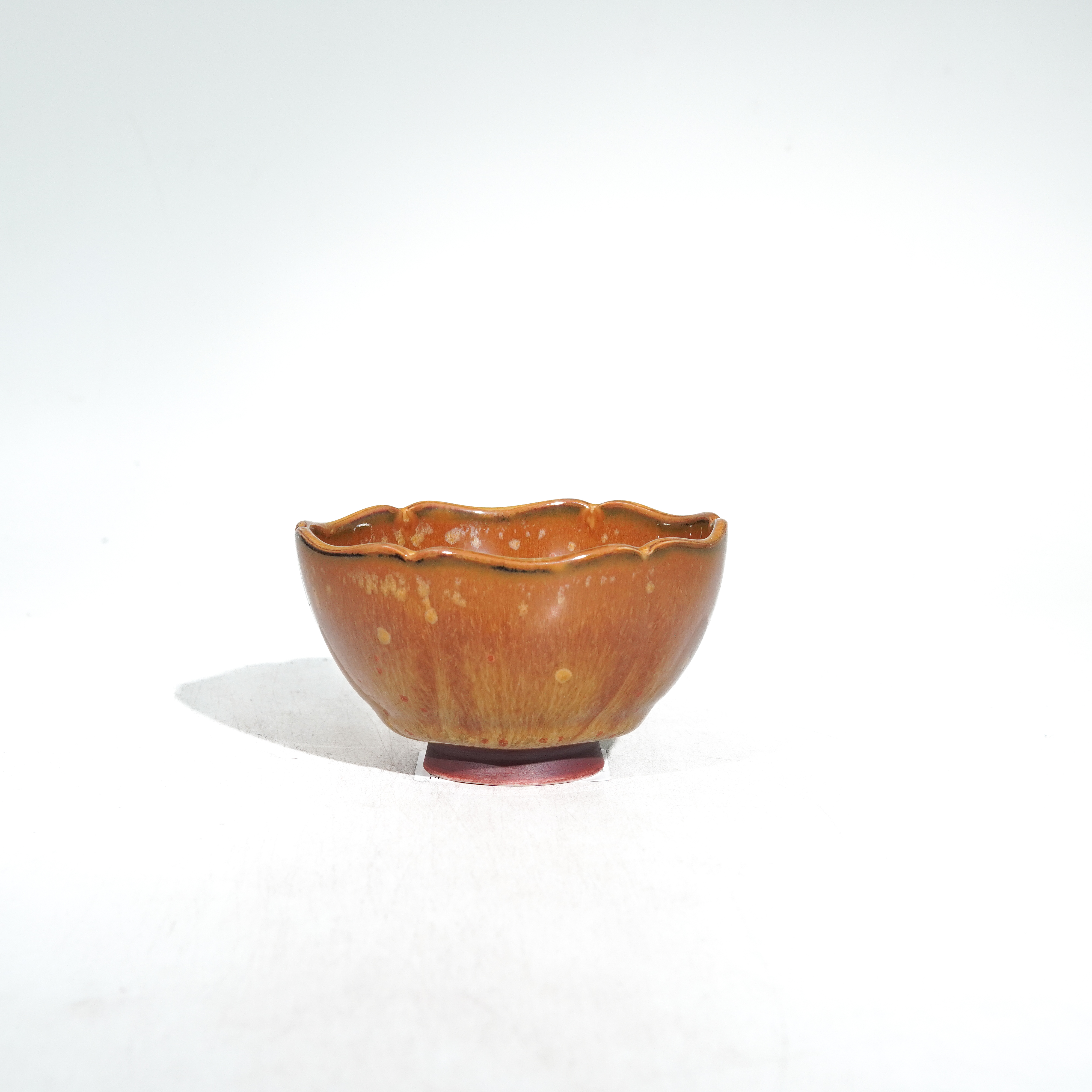 菱花杯-范泽峰-省大师-100cc/