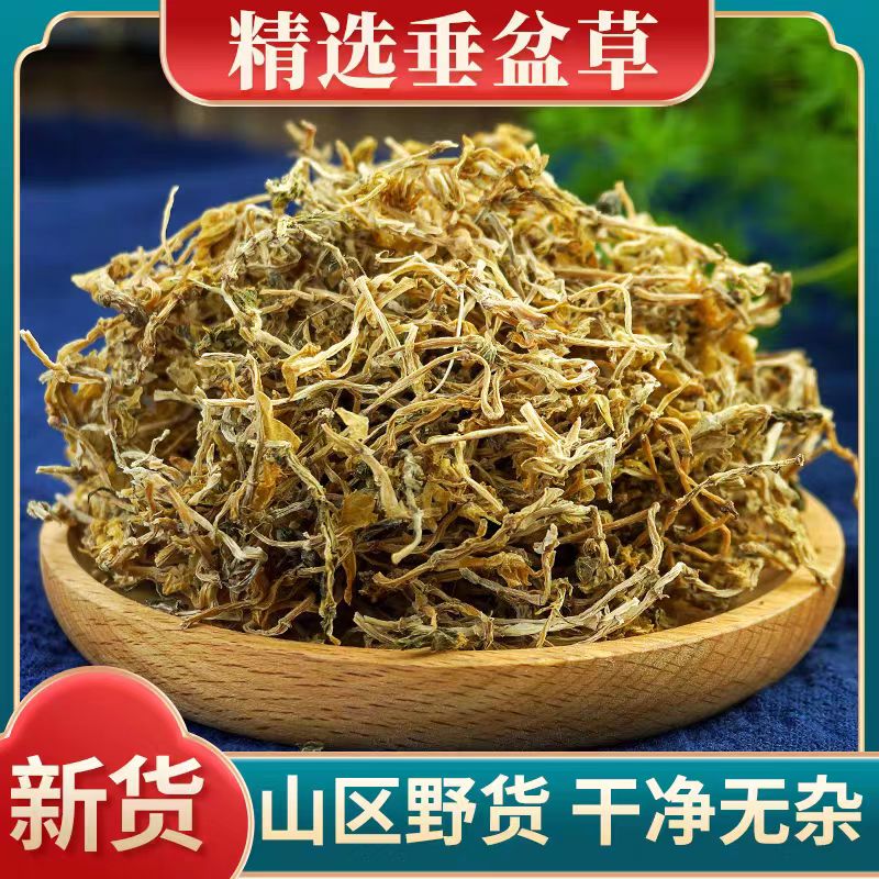 【善薇家】垂盆草中草正品深山新鲜干货泡茶泡水包邮
