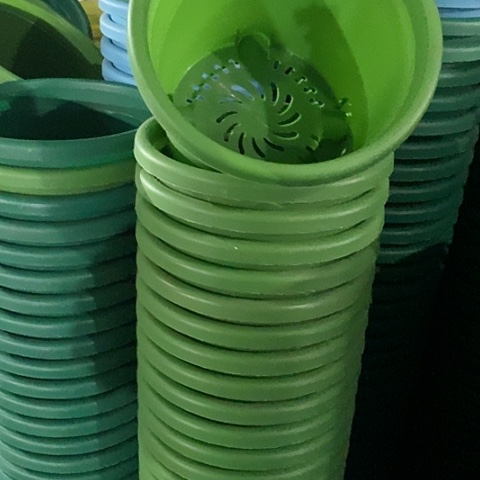 树脂四季3号草绿无托10个