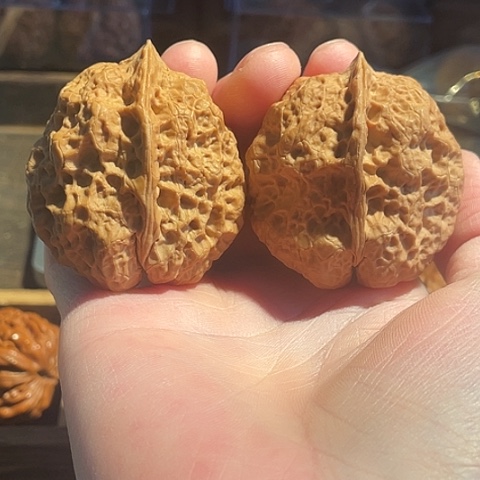 把件文玩核桃霸王龙带彩45+微差尺