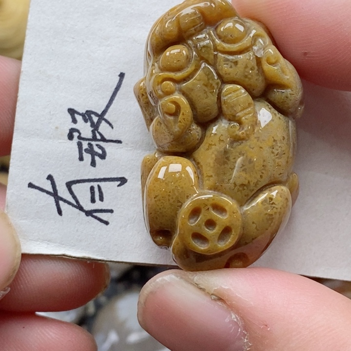 颈饰未镶嵌硅化珊瑚（珊瑚玉）