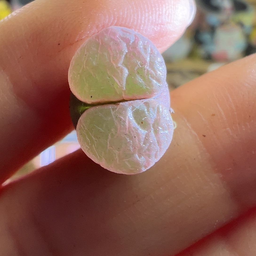 粉磁铁。           
