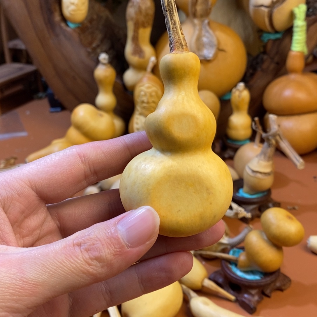 三***少教练教练教练教练经理