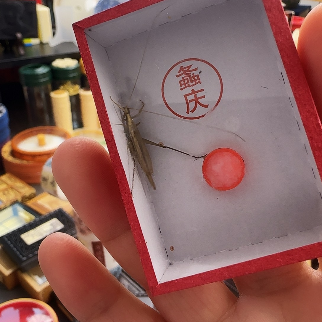 顾***球柬竹2只啊啊啊啊啊