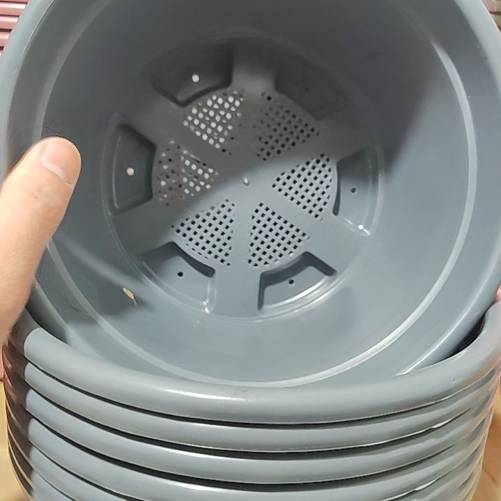 矮胖老桩多肉盆 8 个灰色