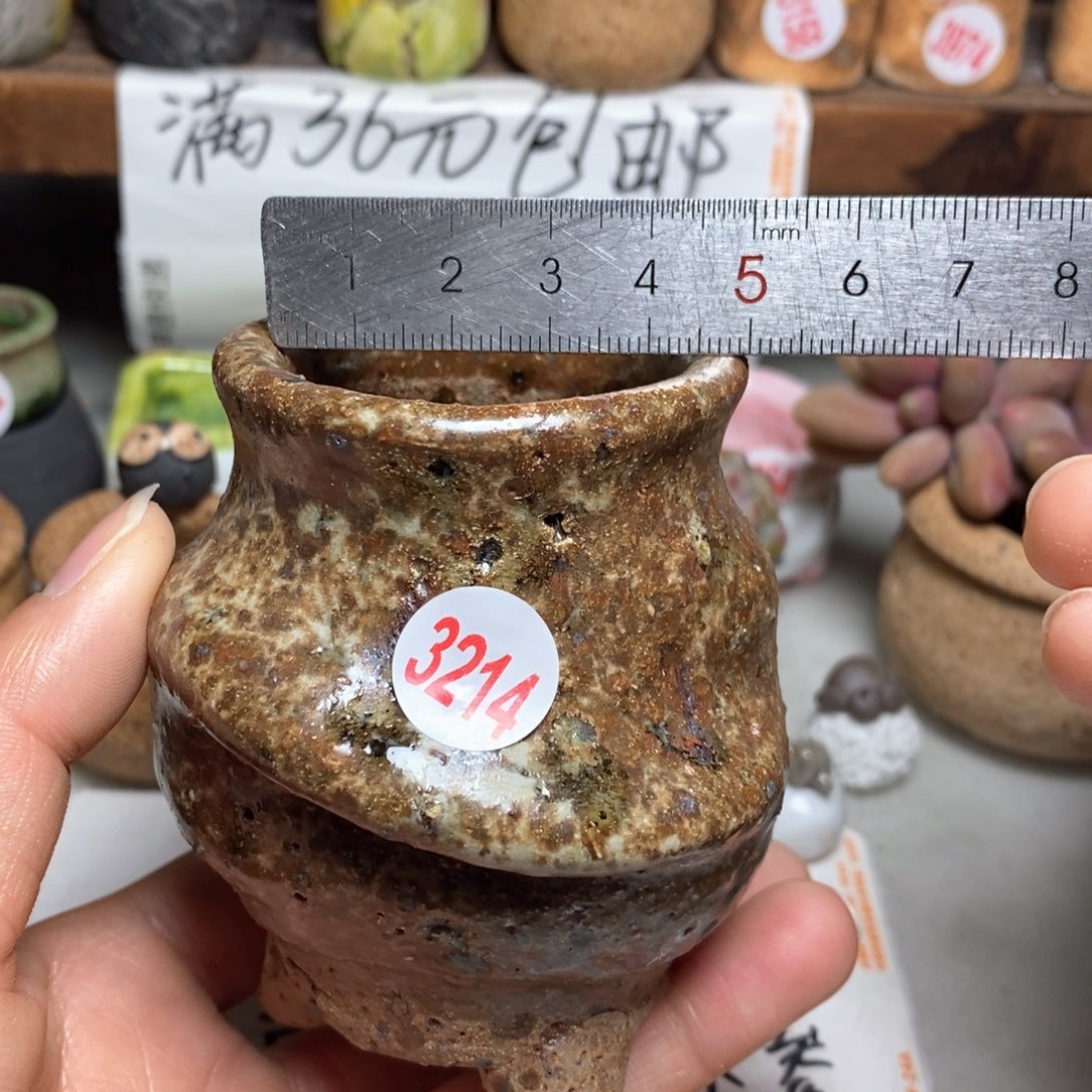 红陶拍5送一个小
