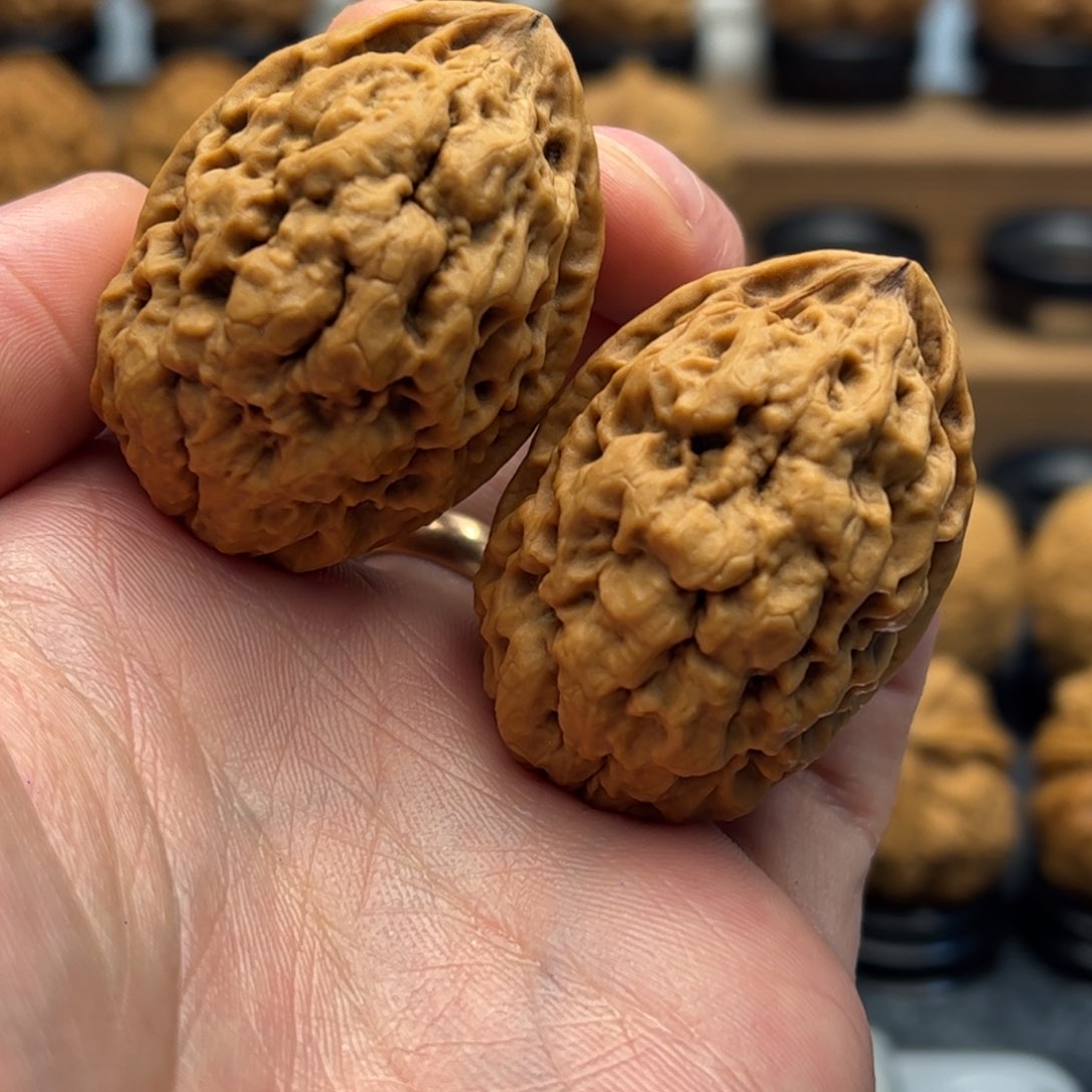 文玩核桃把件大****»铁核桃一物一图产地直发36mm
