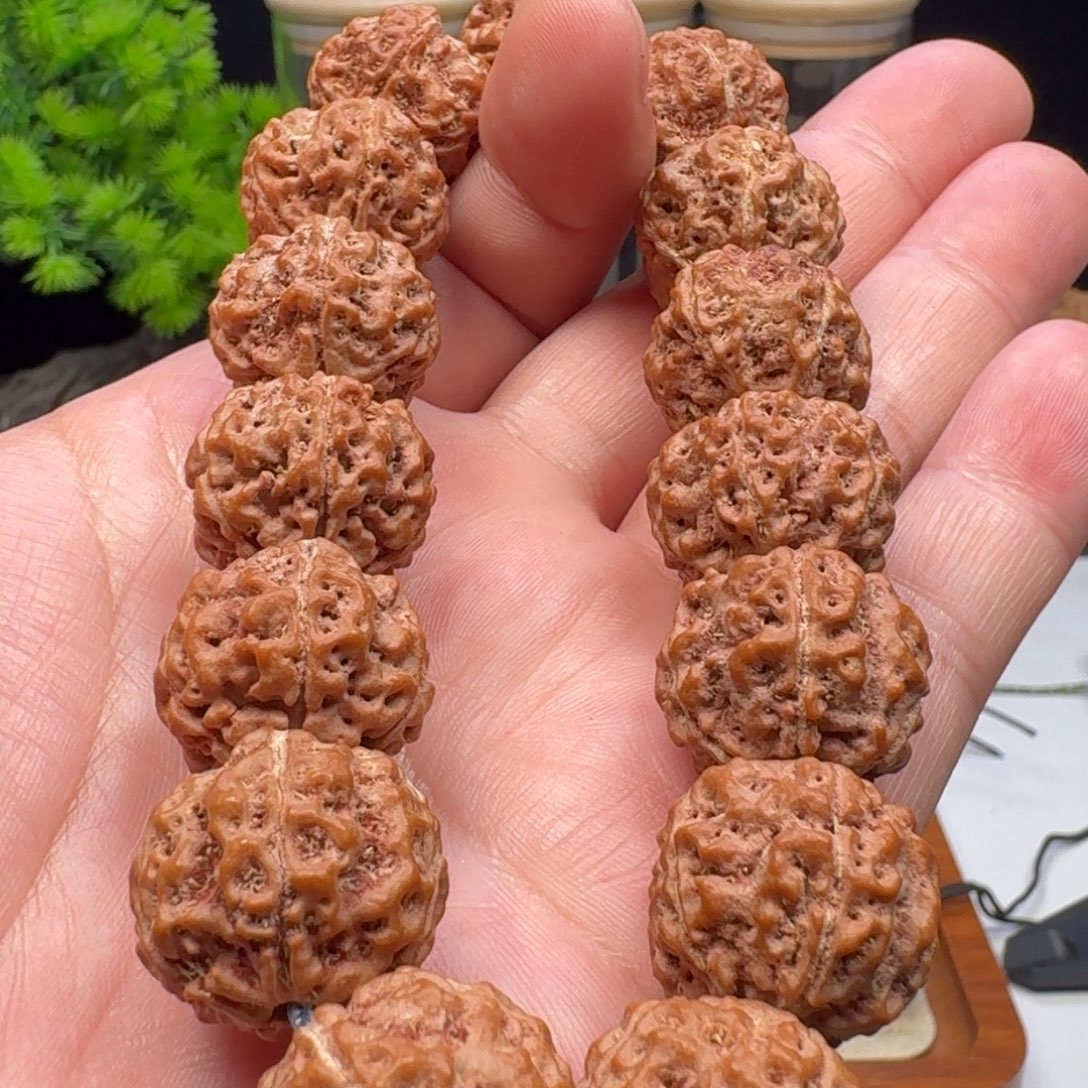 手串金刚菩提五星蜂王籽