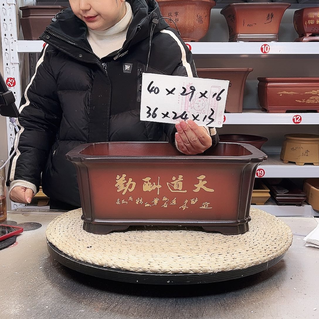 紫砂花盆紫砂花盆里