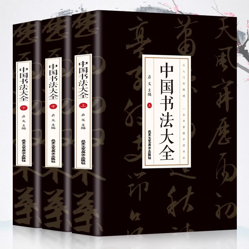 中国书法大全 从入门到精通学书法 楷书行书中国书法技法基础书籍