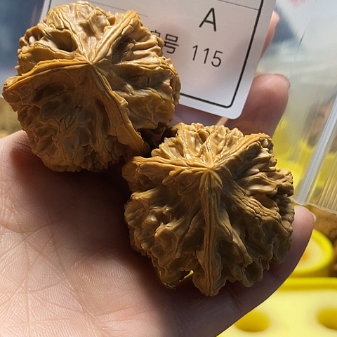 核桃手串/手链吴*自产自销……