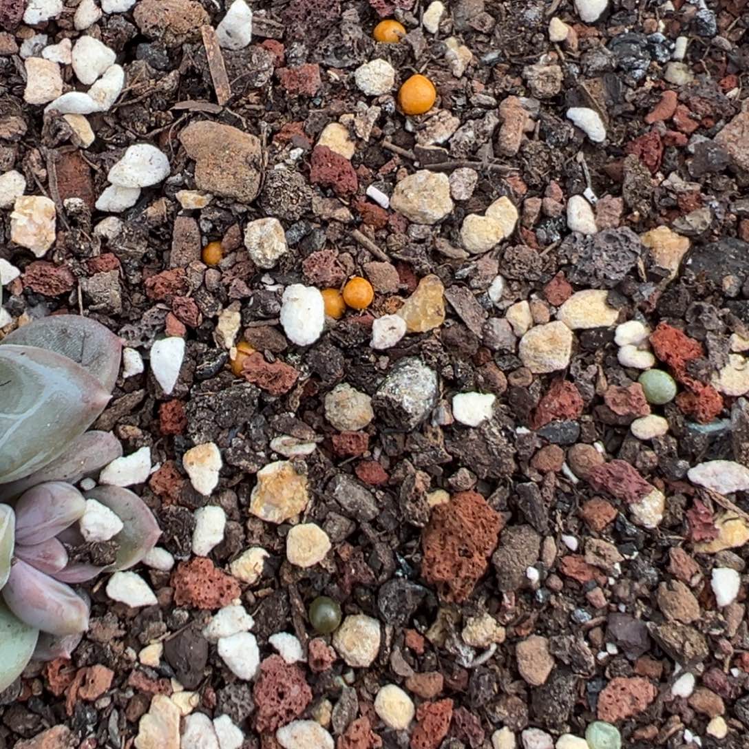 是***吖111111111111111111111111