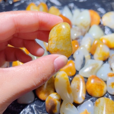 和田玉（糖玉）未镶嵌颈饰13.3克