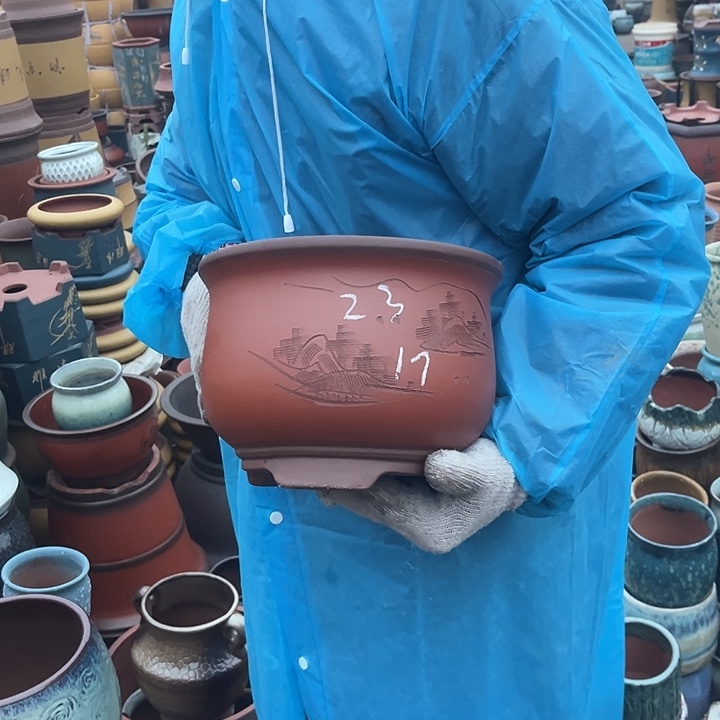 紫砂紫砂花盆和小盆栽