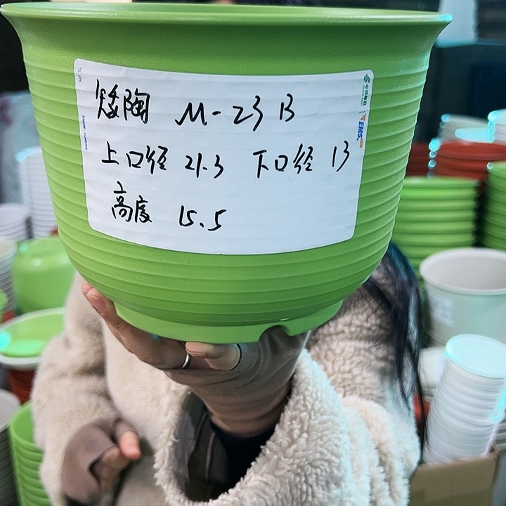 正品矮陶口21高15果绿色8个无托