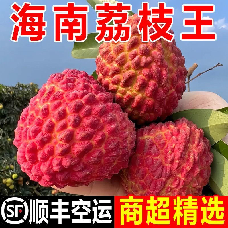 【GK2顺丰空运/全国次日达】正宗海南火山荔枝王新鲜超大巨无霸荔枝荔枝同城送