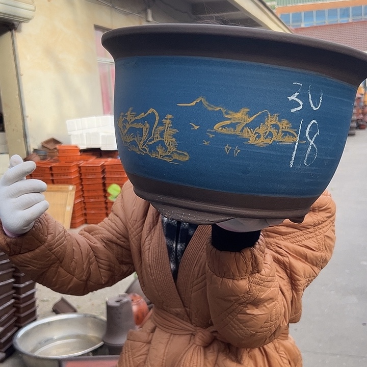 30蓝山花盆花盆花盆花盆花盆