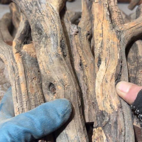 勿***鱼大果紫檀（缅甸花梨）