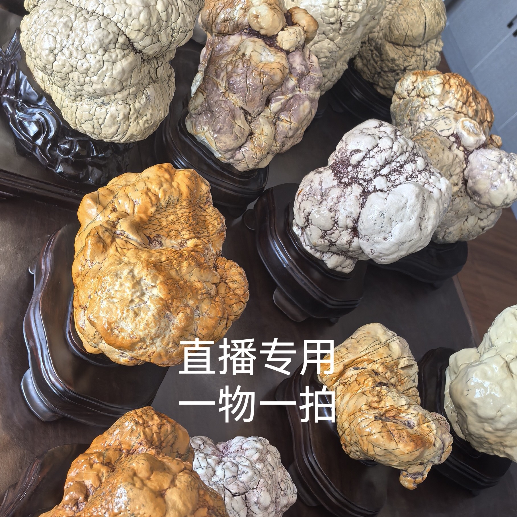 西藏象牙玉原石摆件