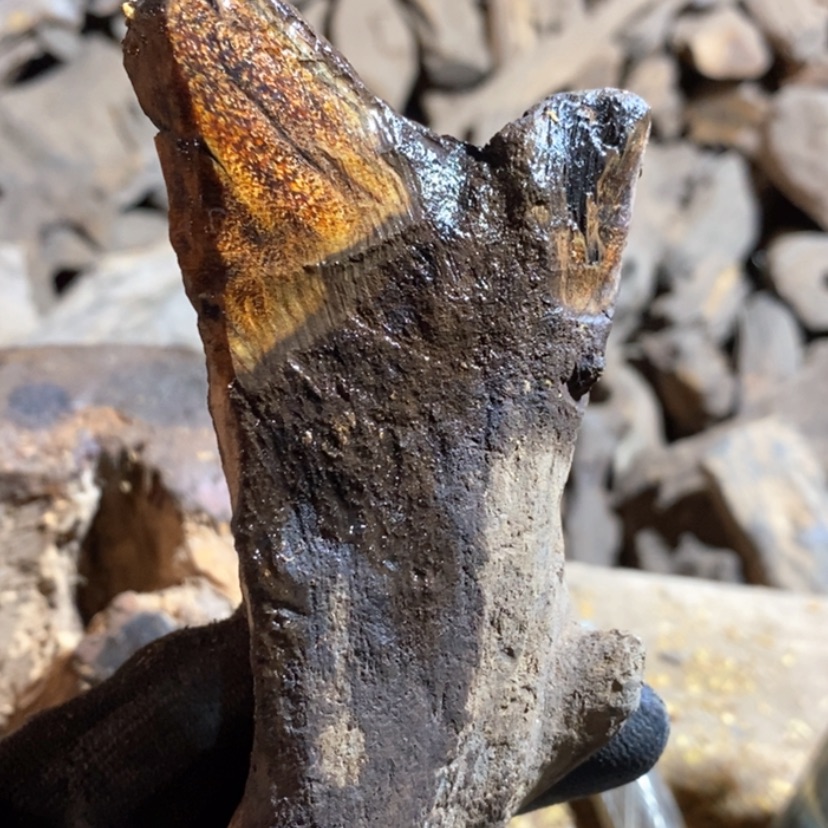 【闪购商品】把件贡木张*私人订制