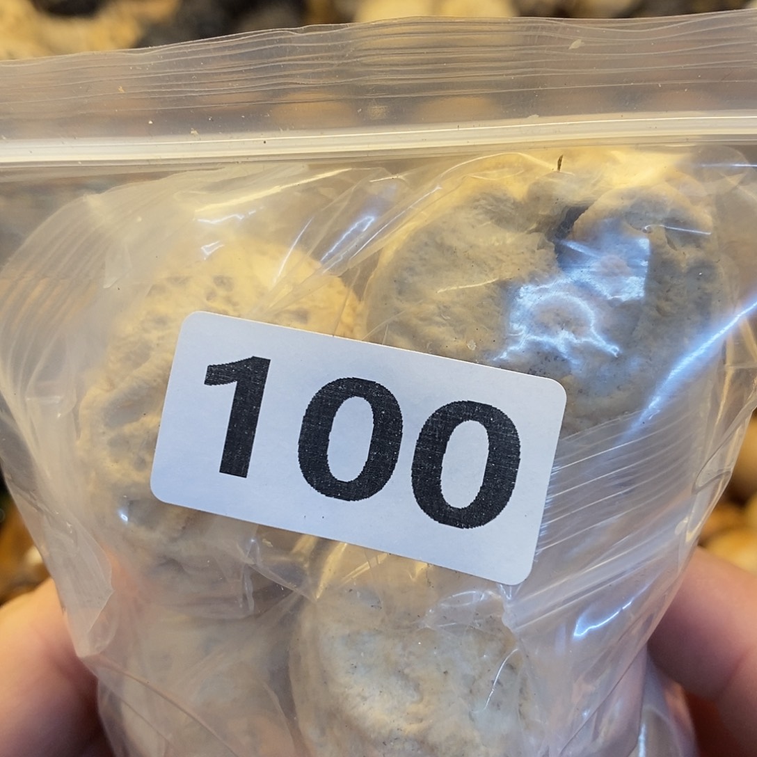 吊坠橄榄核机****）