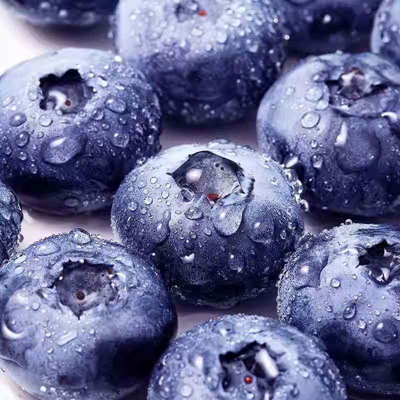 【送六盒】顺丰2包邮露天蓝莓25鲜果高山新鲜水果含盒100克/盒