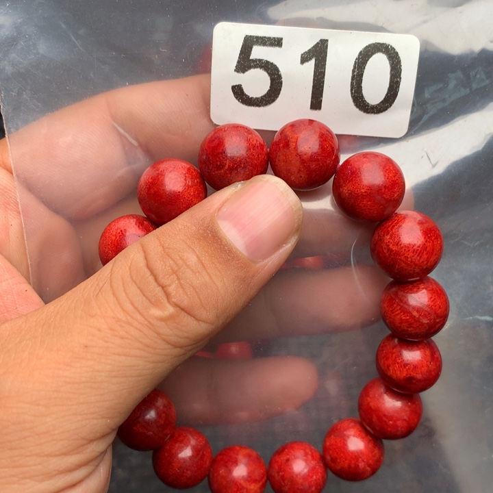 大果紫檀（缅甸花梨）