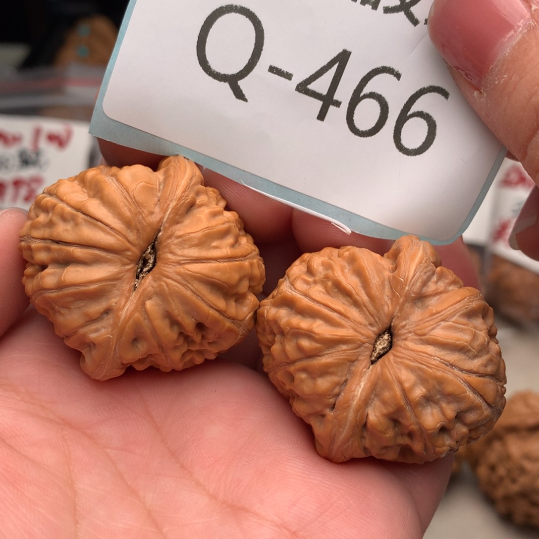 文玩核桃把件40元宝……..