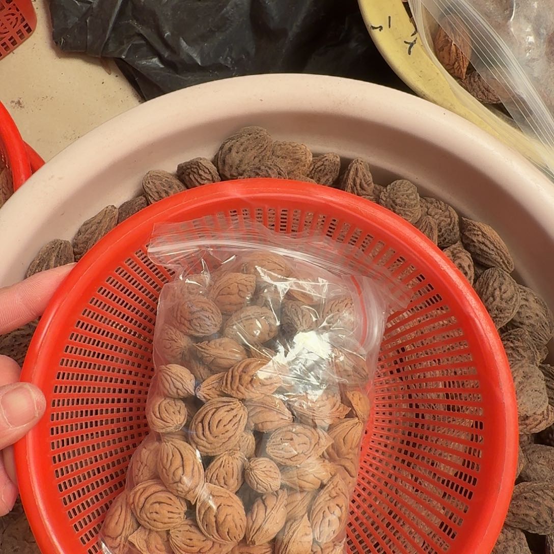 精品碧桃核特价处理款