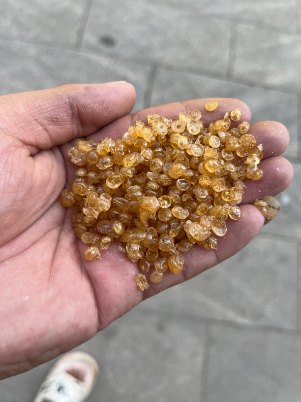 牛胶 可以用于颜料 沾东西