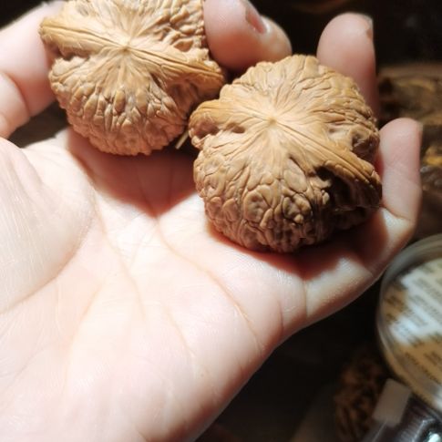 猴头核桃吊坠程*大44泥鳅