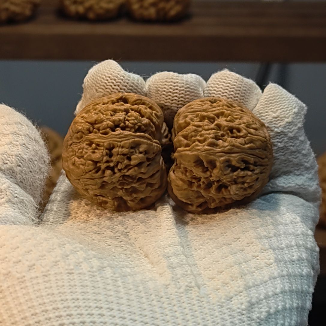 本***色涿鹿南疆石蟒皮纹福利对