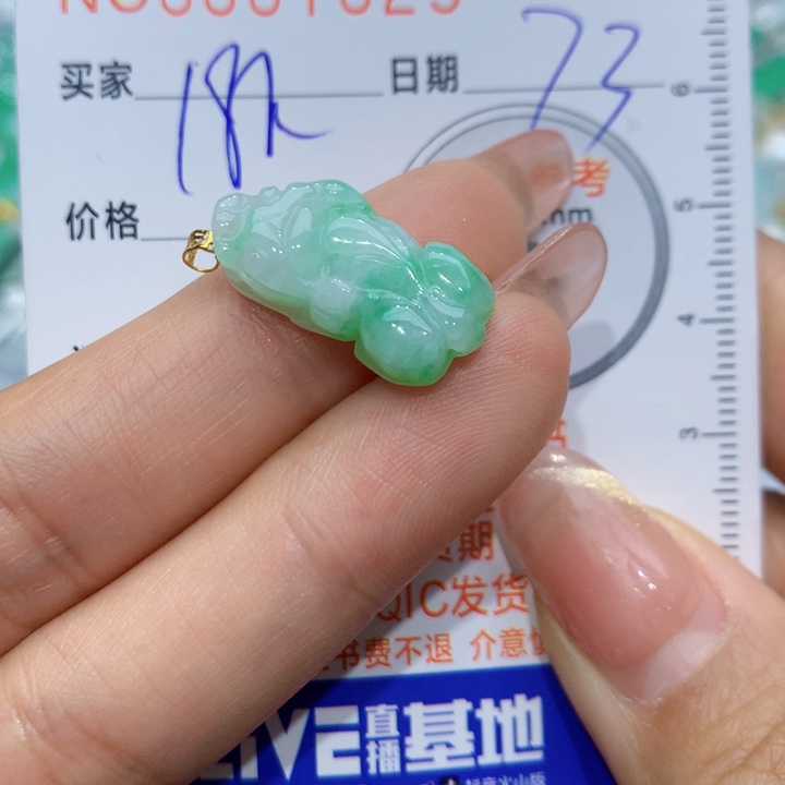 翡翠颈饰18K金镶嵌貔貅
