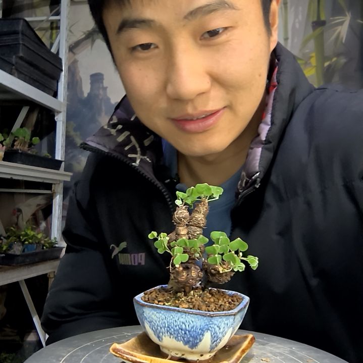 搞***营中青园艺一物一拍花424