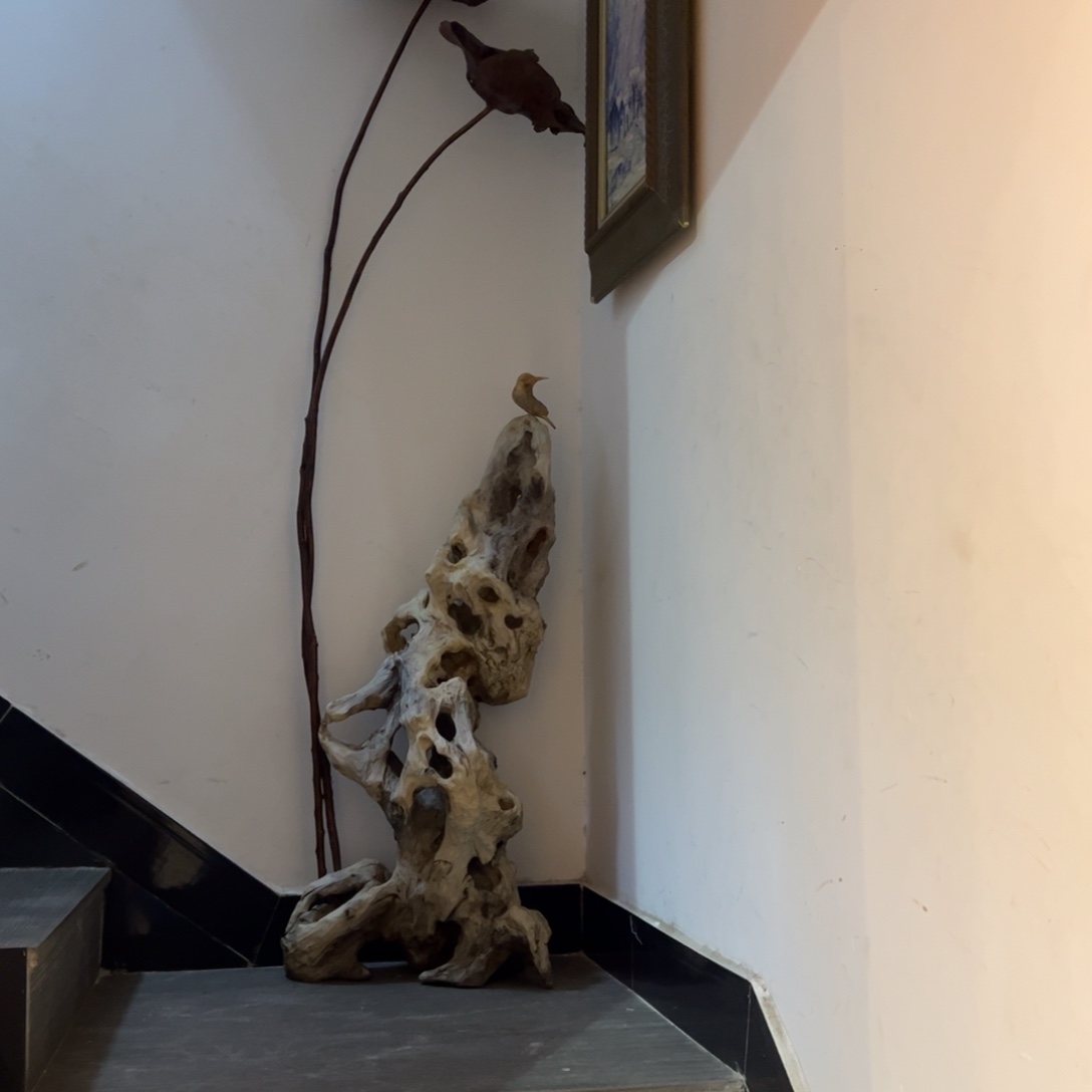 一***尘柏木根艺荷叶根雕禅意独创作品